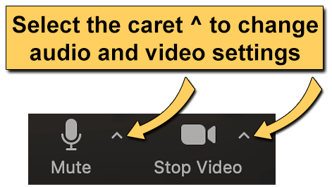 Screenshot: Select the caret ^ by the 'Mute' and 'Stop Video' controls.