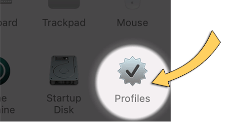 Screenshot: Profiles icon.