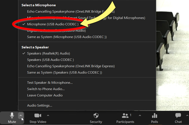 Screenshot: 'Microphone (USB Audio Codec) selected in the Zoom app.
